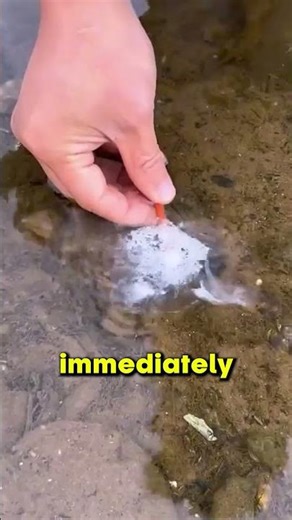 It's just basic chemistry 💭🤔