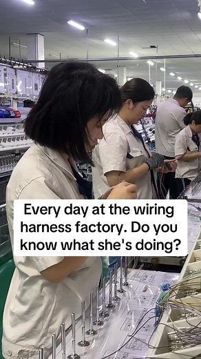 Inside the Wiring Harness Factory: A Day in the Life of a Worker