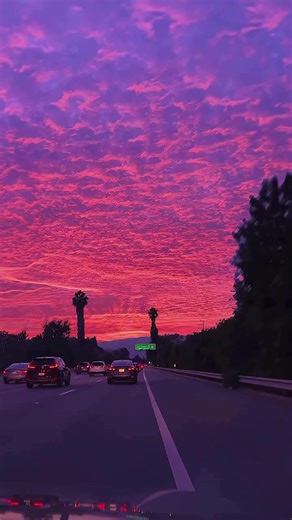 Veegaz Night Drive Through the Sky