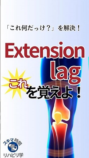 【知らないとマズイ⁉︎】“Extension lag”はこれを覚えよう！#理学療法士国家試験 #作業療法士国家試験 #理学療法士 #作業療法士 #基礎 #臨床 #臨床実習 #膝関節 #評価