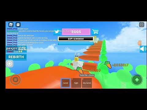 tutorial on how to get the sky carrot! (brand new rabbit simulator 2 update)