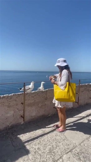 Feeding the Seagulls is Dangerous they have sharp peak #gemstar #seagulls #seabirds