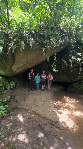 When we see HUGE spiders in the jungle #spiders#jungle