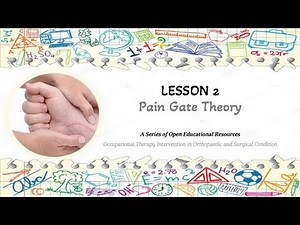Lesson 2: Pain Gate Theory