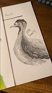Pencil vs. Oil Pastels: Which is Better for Drawing Bird? #drawing #art #pastel #pencildrawing