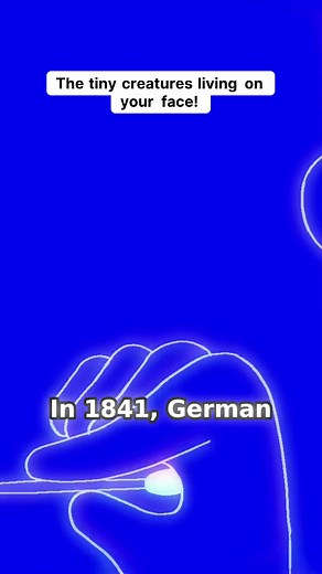 Edu Simplify on TikTok