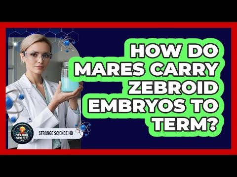 How Do Mares Carry Zebroid Embryos To Term?