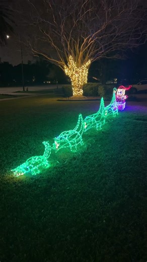 Southern Christmas in Louisiana: Cajun Santa with Alligators Sleigh