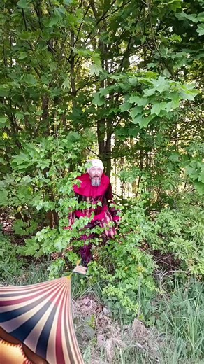 #clown #zirkusdeluxe #spaß