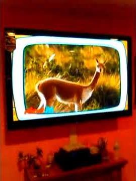 Making fun of go diego go swagg