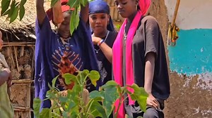 #Harargee #music #badiya too | Famii Oro