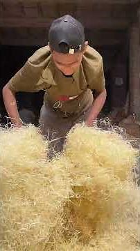🌾Wood Wool Making Process | 😱 How Wood Turns Into Soft Fibers