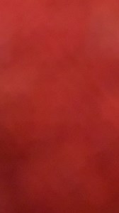 3K views · 14 reactions | Join the ongoing BOW Sew Along and stitch the Spring Wonders Quilt with a like-minded community! ✨ The detail in this quilt is amazing—let’s create something beautiful together! | Sweet Pea Machine Embroidery | Facebook