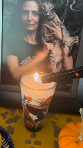 38K views · 4.8K reactions | November 2nd marks the second sacred day of the Día de Muertos or Day of the Dead festivities in Mexico. A large part of the reason why I choose to live in Mexico, is because of the way this incredible culture reveres its loved ones and ancestors. Death is a part of Life in Mexico, and both are celebrated. Miss you mom, dad and Balam…always in my heart….. | Balam Says | Facebook