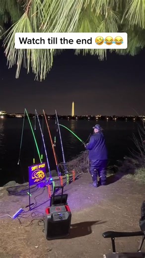 Doggo Hits Goose in Hilarious Accident
