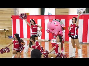 Bリーグ STAR JETS フライトクルー チアリーダーズ 2019.02.24 多古町民体育館