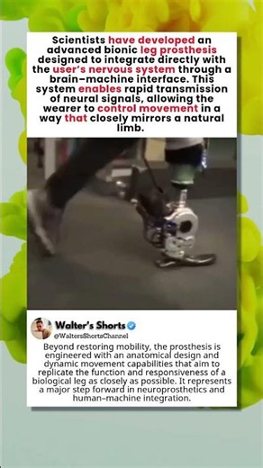 The First Bionic Leg That Feels Like a Real Limb