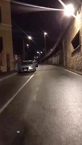 Si. Un capriolo. A nervi che imbocca corso europa. Chissà se gli han detto che c’e il tutor? da IG: giovanni.paganello | Il Mugugno Genovese