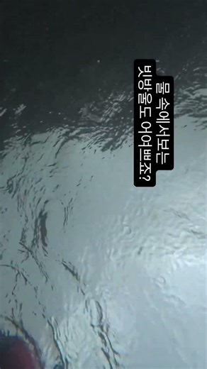 해녀2일차. 비오고 안개에 천둥,번개까지!해녀의 길을 가는데 시작부터 시련부터 주시나요??그와중에 빗소리는 너무 좋고~~ㅎㅎ#남해해녀 #아기해녀 #인턴해녀