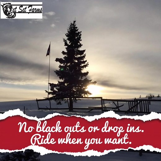 One individual paddock available! | Get Set Farms