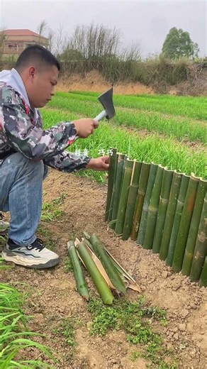 DIY Bamboo Fence: Step-by-Step Guide for Beginners