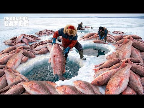 Fishing Documentary | $1 Million of Red Snapper Pulled Up in Just One Voyage in the Gulf of Mexico