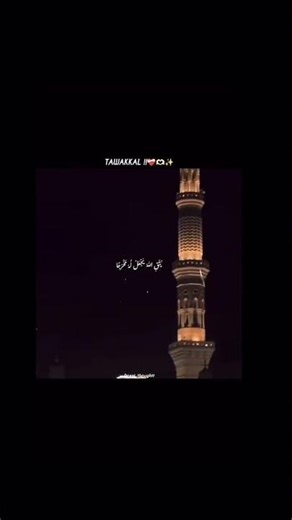 Tawakul #islam #muslim#quran#islamic #islamicshorts#islamicstatus #islamicvideo