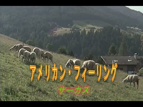 （カラオケ） アメリカン・フィーリング / サーカス