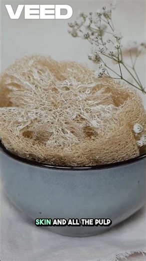 Loofah From PLANT to SPONGE! #loofah #plants #sponge