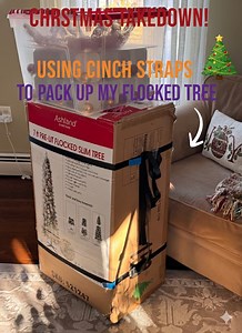 Genius Christmas Tree Storage Hack! Using Cinch Lashing Straps to Pack & Compress Your Tree Fast Tired of struggling to fit your Christmas tree back into its original box? In this video, I’m sharing a game-changing storage hack using 1" x 10ft Adjustable Cam Buckle Lashing Straps to compress and secure a 7ft pre-lit flocked slim tree. Packing away Christmas decorations can be a nightmare, but these heavy-duty cinch straps make the process incredibly easy and organized! 📌 WHY USE LASHING STRAPS 