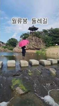 충북 영동 월류봉 둘레길 1~2구간(2026.06.14)