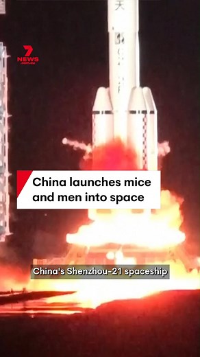 104K views · 253 reactions | China has launched several mice into space, selecting the small mammals from 300 candidates after 60 days of intense training. #mouse #mice #space #rocket #china | 7NEWS Australia | Facebook