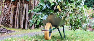 ᐅ Grünschnitt entsorgen Murrhardt: Einfach und richtig entsorgen! – Abfall-Info.de