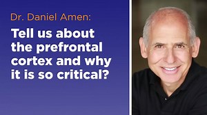 254 reactions · 211 shares | The prefrontal cortex is the CEO of your...