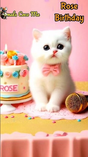 HAPPY BIRTHDAY TO YOU ROSE | HAPPY BIRTHDAY SONG WITH NAMES | Adorable Cute Cat 😺 #happybirthday