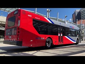 WMATA New Flyer Metrobuses & MCDOT Ride-On Gillig Buses in Action Series #1
