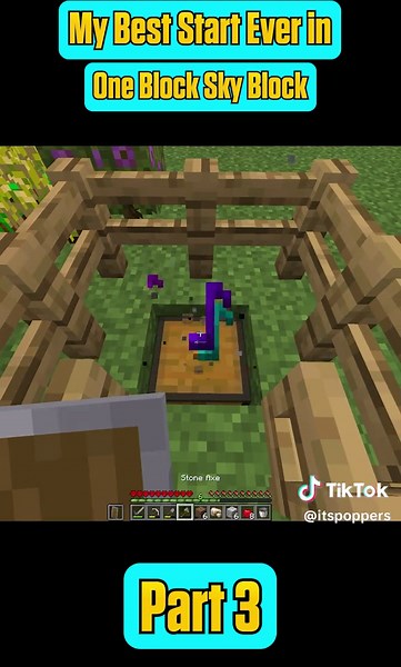 My Best Start Ever in One Block Sky Block #minecraft #letsplay #hardcore #fyp
