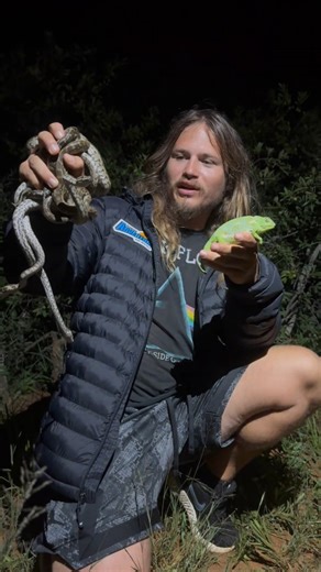 Elliott Totten on Instagram: "After years of catching pythons and chameleons as invasive animals in south Florida, it's super cool to come out to Africa and catch their cousins in their native habitat. Here is some hatchlings from one of the actively hatching nests we found! #python #rockpython #chameleon #Zimbabwe #africa"