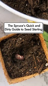 7.7K views | Start growing seeds indoors for a future fruit, vegetable, or plant garden with our comprehensive guide to seed starting. #TheSpruce #seedstarting #containergardening #gardening #plantlover #gardeninspiration | The Spruce | Facebook
