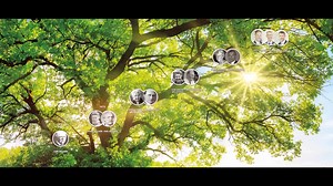 At Kayan Engineering, we proudly represent Bellmer, a German,...