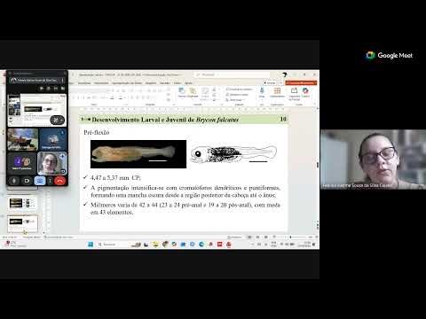 2ª Reunião Ordinária - CEPESCA