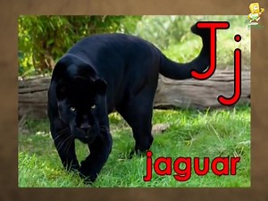 跟着魔性大叔 Jack Hartmann 学英语【3】Animal Alphabet