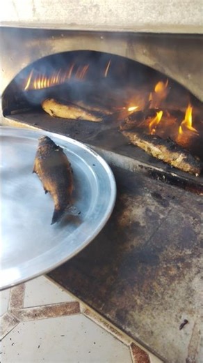 #سمك #food #مصر #اكسبلور #عشاءلذيذ #طبخ #الجزائر #كوميديات #العراق #تيك_توك #ترند #طبخ #fush #funny