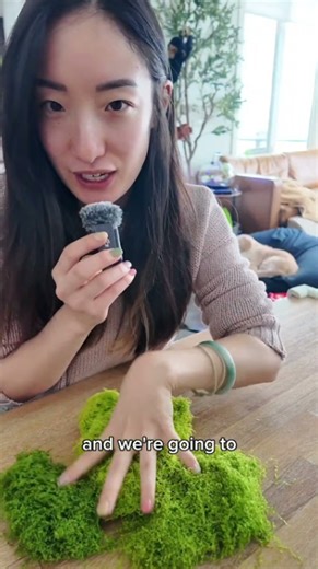 Crochet kokedama this idea looks better than expected