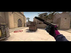 USP-S Stainless Battle-Scarred Showcase