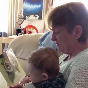 This Scottish grandma trying to read 'Wonky Donkey' is hilarious 😂🔊 | Country Sugar