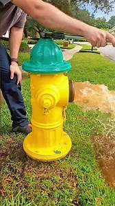 Why Do Firefighters Let Hydrants Spray Water? 🚒💦