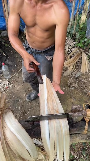 Fiber making abaca farming. #abacafarming #communitybuilding #facebookreelsviral #facebookreelsvideo | Judie Zafe