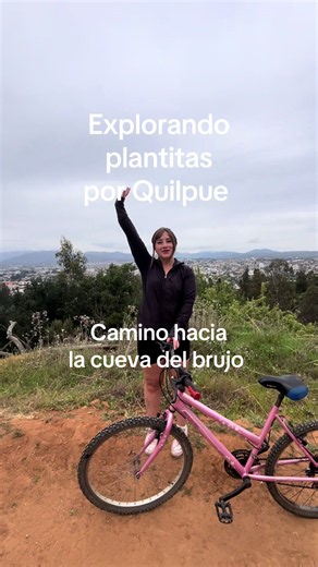 Explorando plantitas por Quilpué: guía rápida de especies locales