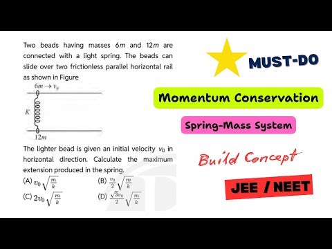 Two Masses - One Spring System | Momentum Conservation | JEE / NEET